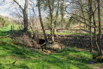 Les Petits Pas du Patrimoine  Sauviat