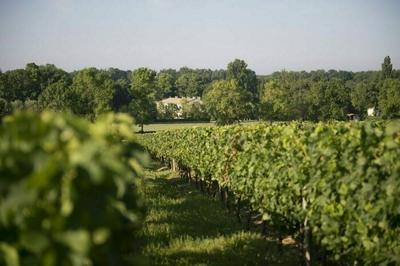 Les portes ouvertes de Saint-Emilion, Lussac, Puisseguin  Montagne