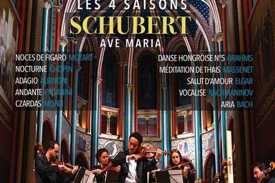 Les 4 Saisons de Vivaldi, Ave Maria et Célèbres Adagios à Menton