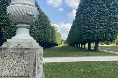 Les secrets des arbres  Champs sur Marne