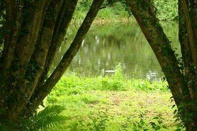 Les Tourbires, des espaces naturels  prserver  Botsorhel