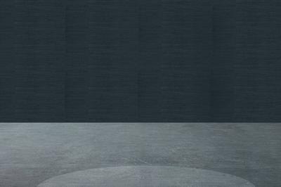 Les Yeux Dans Les toiles ! Quatre Oeuvres Rtroclaires De L'artiste Guillaume Bottazzi  Lyon