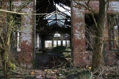 Levez les yeux : dcouverte extrieure du carreau de mine Clemenceau  Merkwiller Pechelbronn