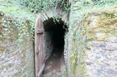 Levez les yeux ! Dcouverte insolite d'un souterrain mdival  Cerisy la Foret