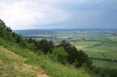 Levez les yeux : le patrimoine naturel et la biodiversit des ctes de Meuse  Bonzee