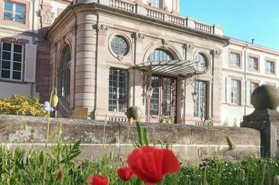 Levez les yeux ! Les patrimoines vignerons en Alsace (Vini, Viti, Vici)  Guebwiller