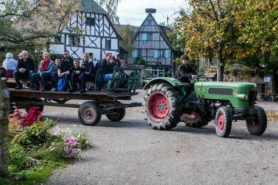 Levez les yeux ! Visitez un muse  ciel ouvert sur la culture alsacienne  Ungersheim