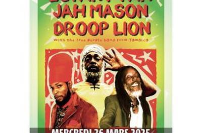 Lutan Fyah, Jah Mason et Droop Lion  Ris Orangis