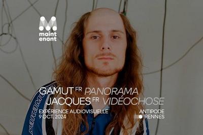 Vidochose par Jacques et Panorama par Gamut  Rennes