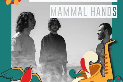 Mammal Hands - Millau Jazz Festival