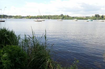 Marais de l'Erdre : visite de Gachet  Nantes