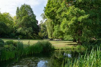 Marche sophronique au Parc Barbieux  Roubaix