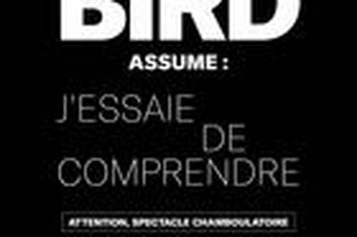 Max Bird, J'essaie de comprendre  Saint Brieuc