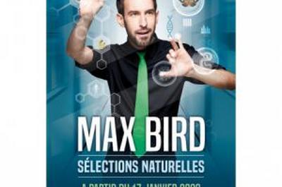 Max Bird à Paris 18ème