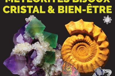 42ème Salon MinéralEvent Orléans - Minéraux, Fossiles, Gemmes, Bijoux, Cristal & Bien-être à Fleury les Aubrais