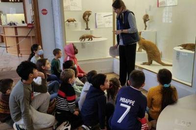 Mdiations postes : les espces animales ocaniennes  Troyes