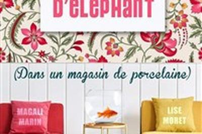 Mmoire d'lphant dans un magasin de porcelaine  Rennes