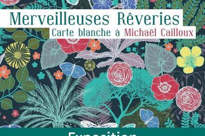 Merveilleuses rêveries : carte blanche à Michaël Cailloux à Montmorency