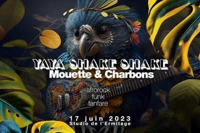 Mouette et Charbons et Yaya Shake Shake  Paris 20me