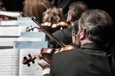 Mozart de jour et de nuit  Nogent sur Marne