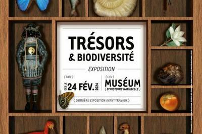 Exposition Trsors & biodiversit  Nantes