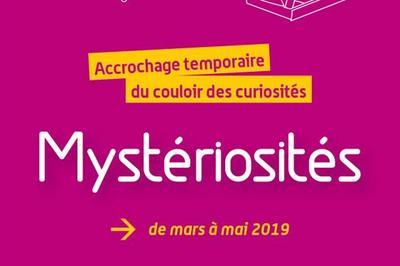 Mystriosits - Accrochage temporaire du Couloir des curiosits  Valence