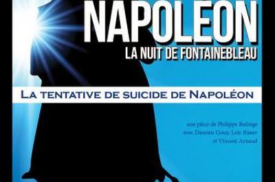 Napoleon, La Nuit De Fontainebleau  Paris 11me