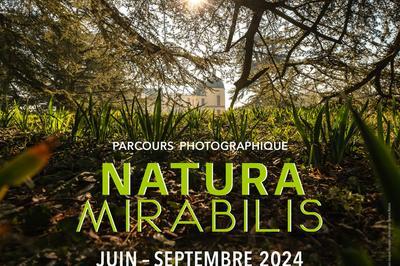 Natura Mirabilis : dambulation commente  Plaine-et-Valles