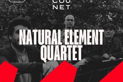 Natural Element Quartet  Paris 4me