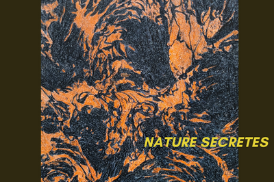 Nature Secrte, Exposition de Pierre Vallauri  Jouques