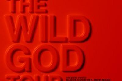 Nick Cave et The Bad Seeds : The Wild God Tour  Paris 12me