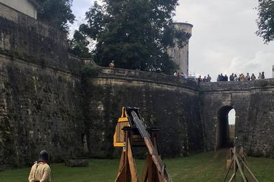 Nourrir les papillons avec un trbuchet  Taillebourg