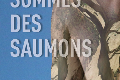 NOUS SOMMES DES SAUMONS  Paris 18me