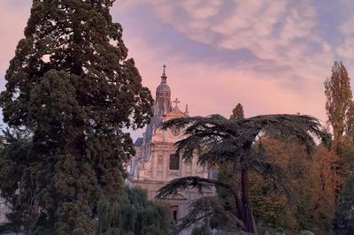 Nouveauté : « arbres remarquables de blois » à Blois