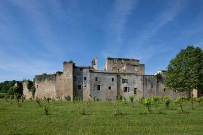 Nouvelle exposition photographiqueDe vallons en coteaux, balade gersoise  Valence sur Baise