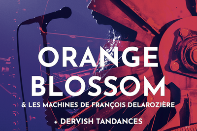 Orange Blossom Et Les Machines Mises En Scène Par François Delarozière à Rodez