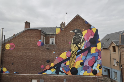 Osru, parcours art urbain à Amiens