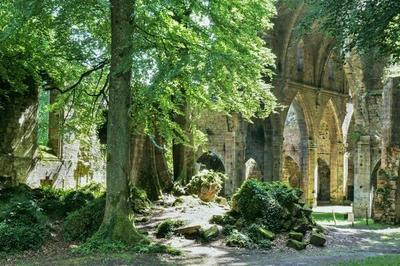 Participez  un jeu de piste Les mystres d'une abbaye cistercienne  Trois Fontaines l'Abbaye