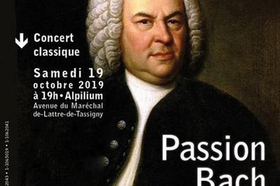 Passion Bach  Saint Remy de Provence