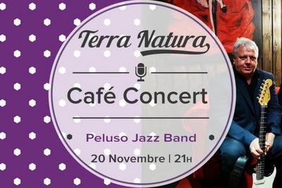 Peluso Jazz Band en concert  Seynod