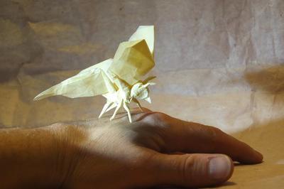 Performances D'origami  Varengeville sur Mer