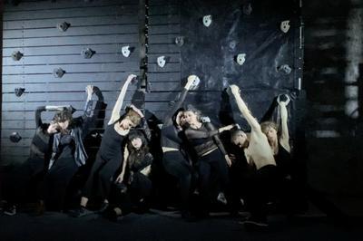 Performances de danse verticale : MurMur, par la compagnie In-SENSO  Chambord