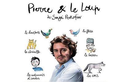 Pierre Et Le Loup  Bordeaux