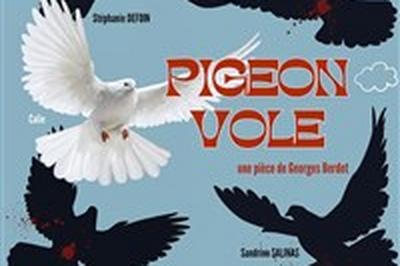 Pigeon vole  Vence