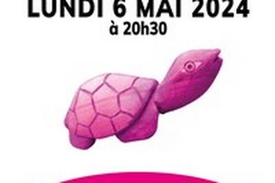 Pink Turtle : Pop in swing  Paris 17me