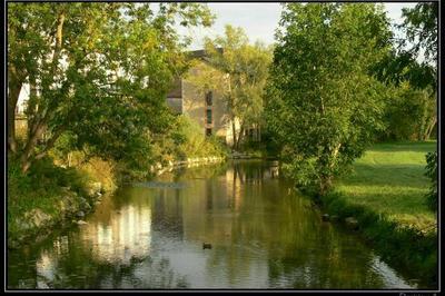 Plantes comestibles de la plaine Saint-Paul  Bourges