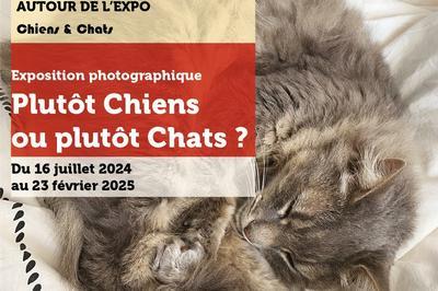 Plutt chien ou plutt chat  Marseille