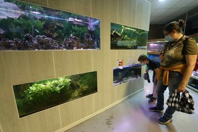 Portes ouvertes au centre Camus, l'Aquavivarium  Grande Synthe