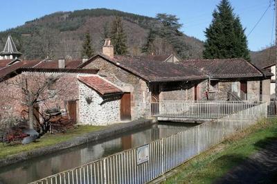 Pour comprendre tous les rouages d'un vieux moulin  eau !  Viviez