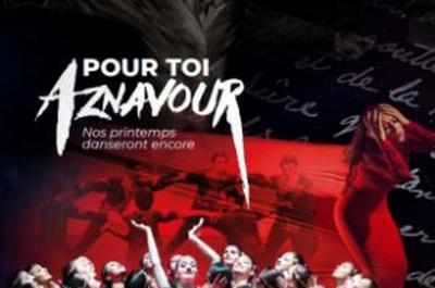 Pour Toi Aznavour  Marseille